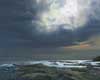 Dancing Light, Pittenweem, Oil