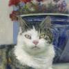 Ali, The Pittenweem Cat, Oil