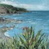 Auchmithie Bay