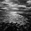 Elie Light