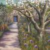 A gravel path between fruit trees in blosom leading to a door in a wall