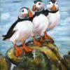 Puffin Trio, Acrylic