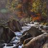 Waterfall on river running between trees in autumn colours