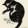 Sleeping Cat Three, Ink Sketch