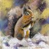 Winter Visitor