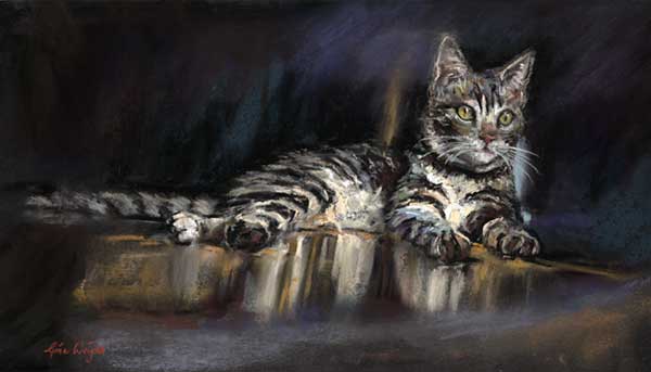 Tabby Reflections
